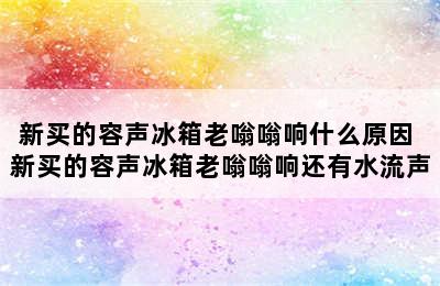 新买的容声冰箱老嗡嗡响什么原因 新买的容声冰箱老嗡嗡响还有水流声